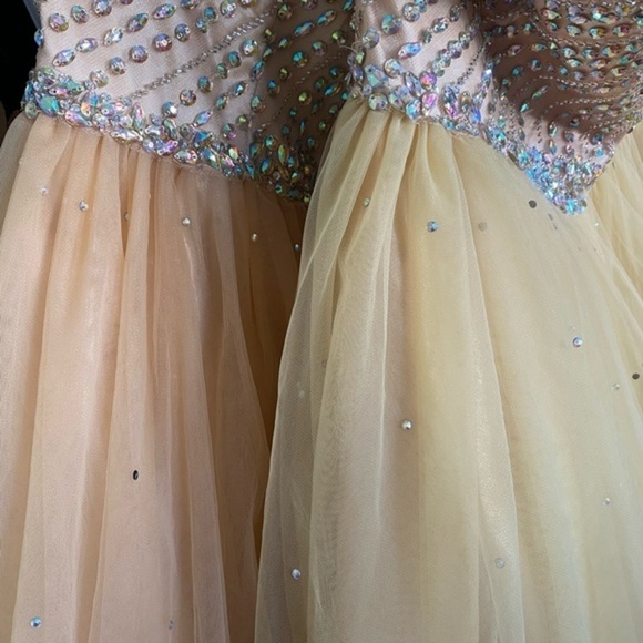 LT Champagne Mini Dress - Picture 7 of 12